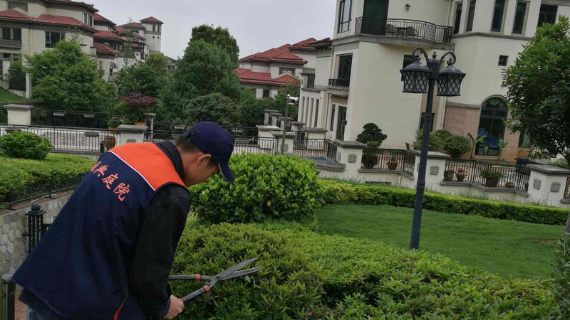成都园林公司报价对比：揭秘园林工程成本构成