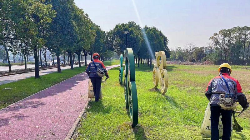 草坪铺设防杂草方法步骤详解