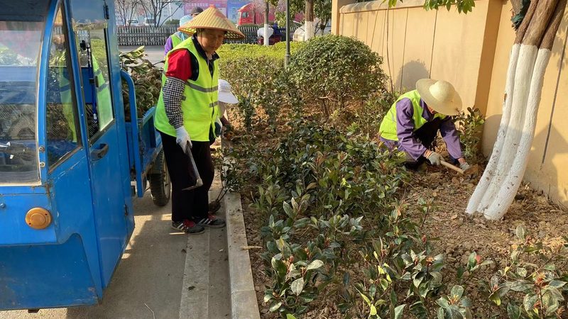 园林绿化工程苗木报价影响因素解析**