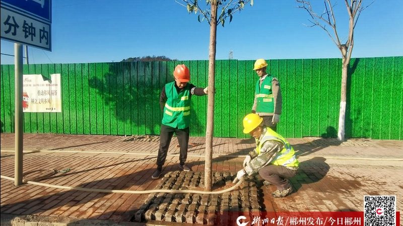 园林绿化资质代办哪家正规