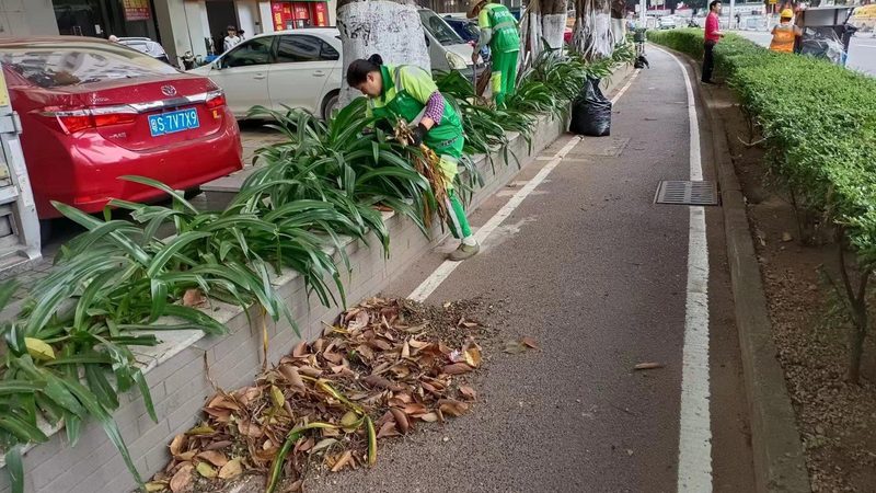 园林绿化养护管理标准规范：关键要点与实施指南**