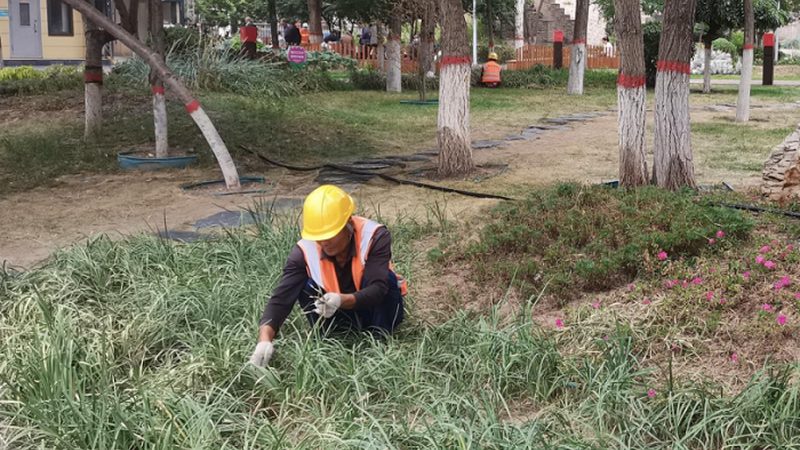花卉租摆与绿植租赁：本质区别与适用场景**
