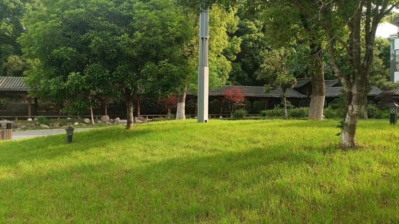 公园绿化草坪种植密度：如何科学规划，提升景观效果**